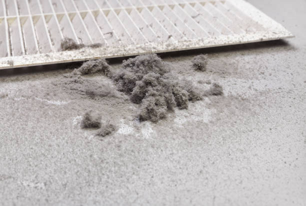 Best Affordable Duct Cleaning Services  in Cordele, GA